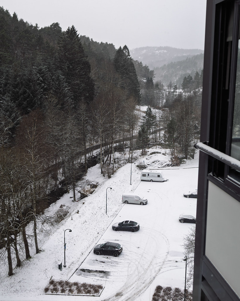 Kitchen view 6 January 2026