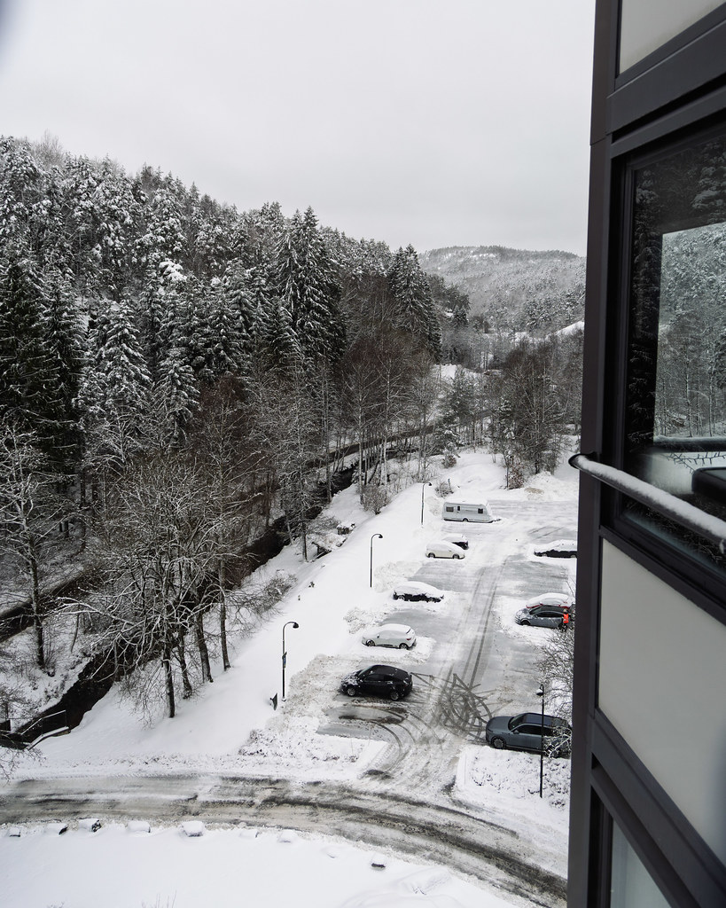 Kitchen view 13 January 2026