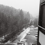 Snowy kitchen view 27 January 2025
