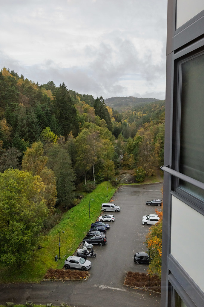 Kitchen view 7 October 2025