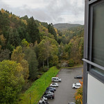 Kitchen view 7 October 2025