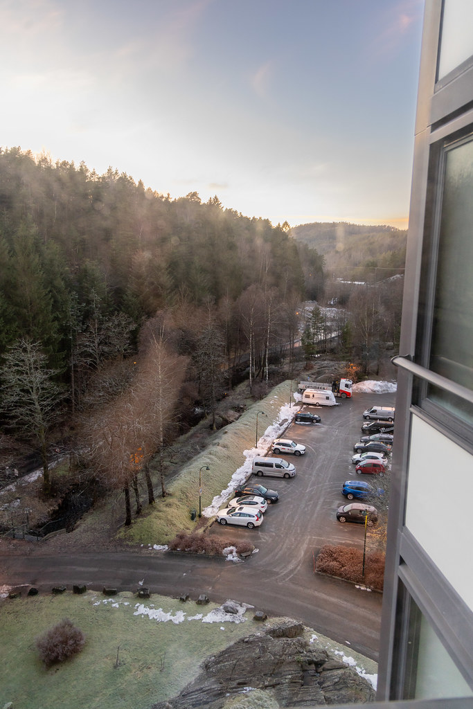 Kitchen view 31 January 2025