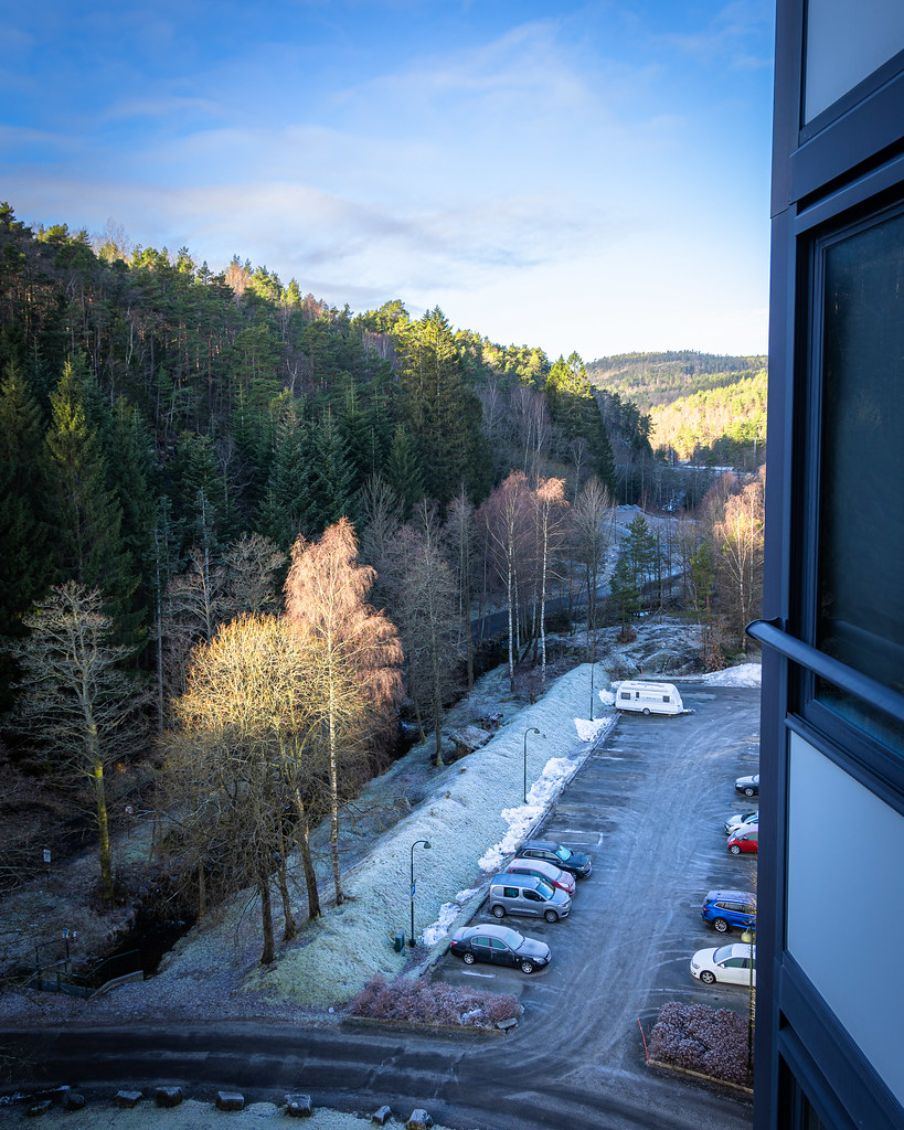 Kitchen view 7 February 2025