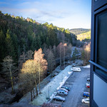 Kitchen view 7 February 2025