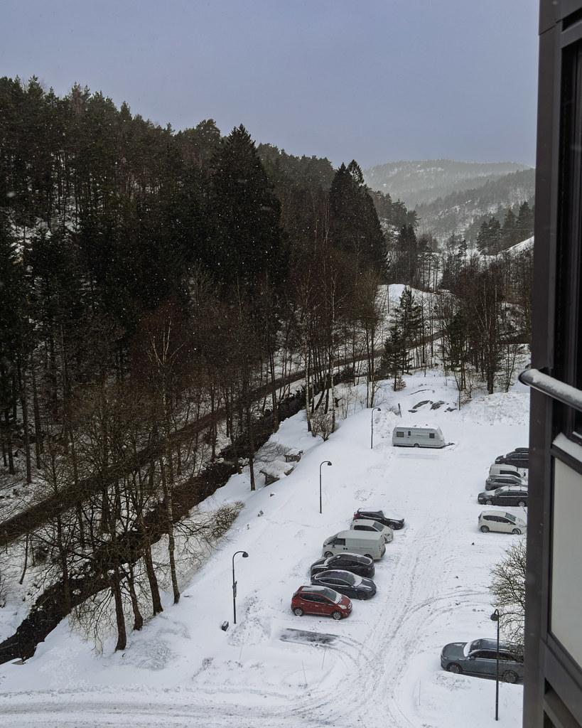 Kitchen view 4 February 2026