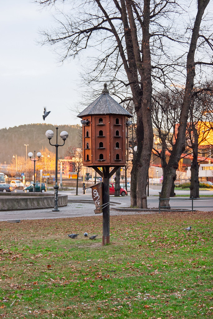 Dovecot