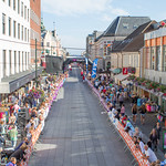 Sykkelgreie i markens (2)