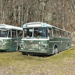 Bybusser på Eftevåg