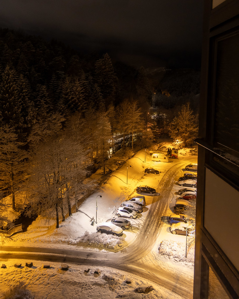 Kitchen view 23 January 2025