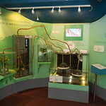 Ant farm at London Zoo