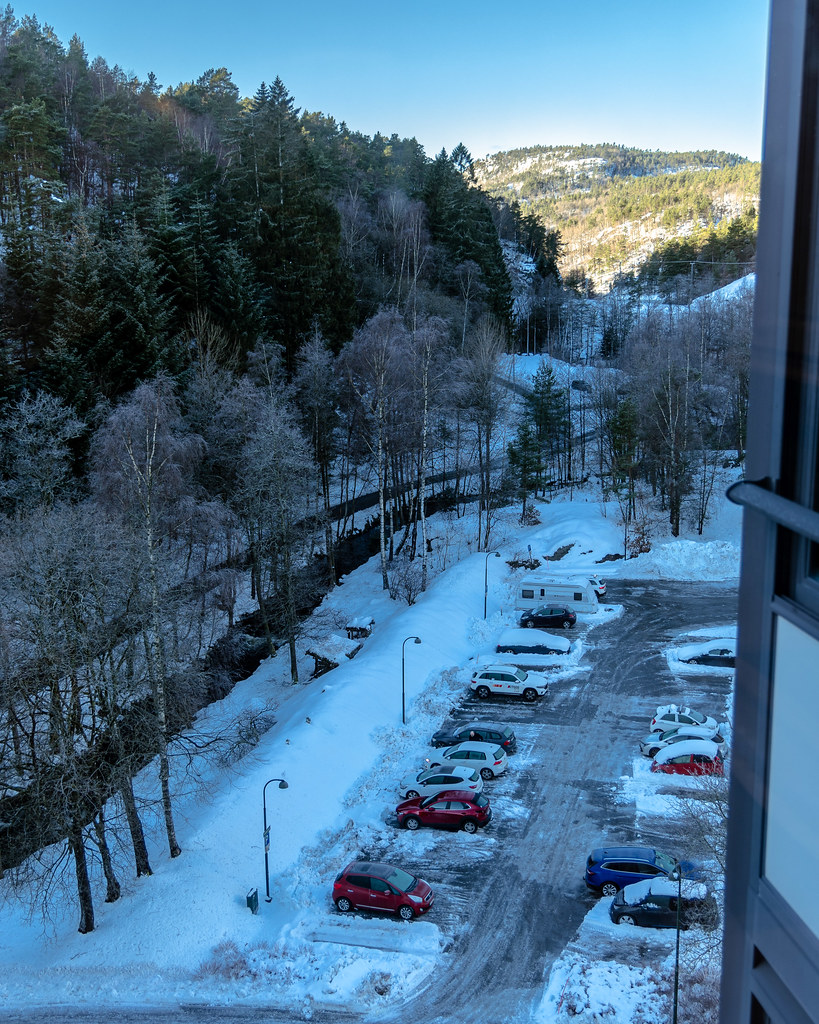 Kitchen view 8 January 2025