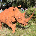 Metallic rhinoceros